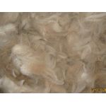 Alpaca Fleece