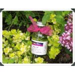 Grapeseed Bath Oil