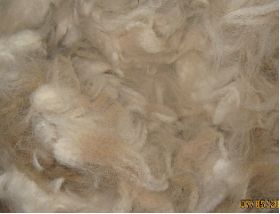 Alpaca Fleece