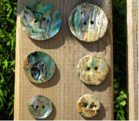 Handmade Pava Shell Buttons