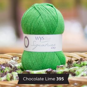 WYS - 4ply - Chocolate Lime