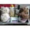 Premier Gift Basket