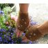 Chocolate Dream Men's Fingerless  Mittens -  Knitting Kit