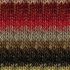 2129 - Noro Silk Garden Lite