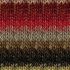 2129 - Noro Silk Garden Lite